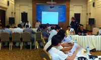 Vietnam richtet sich an sichere und nachhaltige Elektroindustrie 